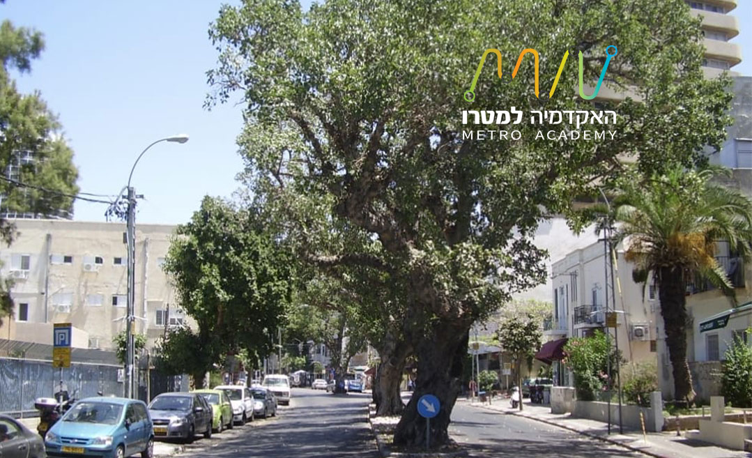 איזון-עדין-או-ויתור-מסוכן-חוק-המטרו